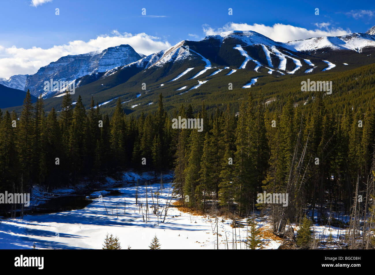 Nakiska Skigebiet an den Hängen des Mount Allan (2789 m/9150 Fuß) Website der alpinen Veranstaltungen 1988 Olympische Winter-Gam Stockfoto