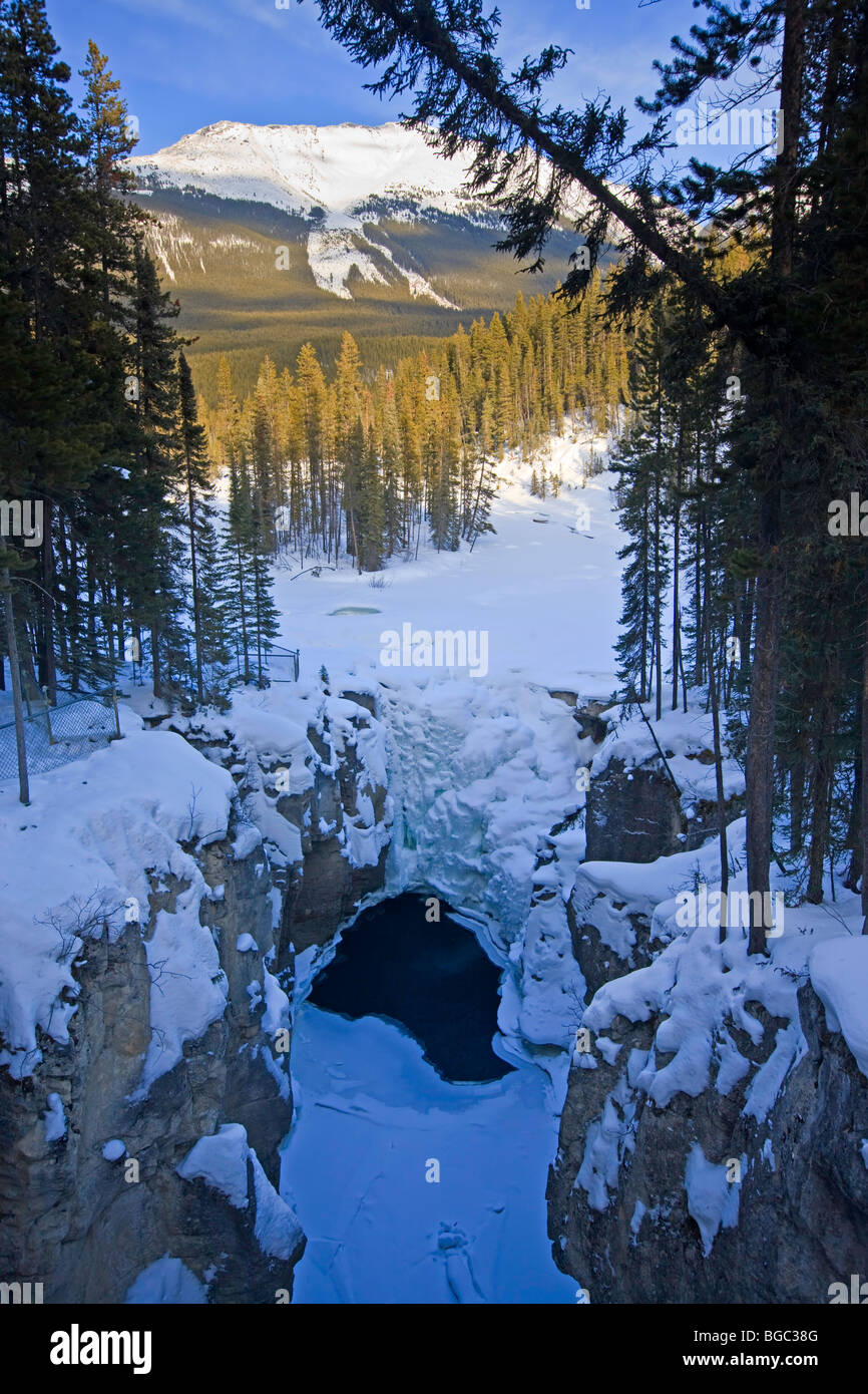 Schnee und Eis bedeckt Sunwapta Falls entlang der Sunwapta River, Icefields Parkway, Jasper Nationalpark, Kanadische Rocky Mountains, Stockfoto