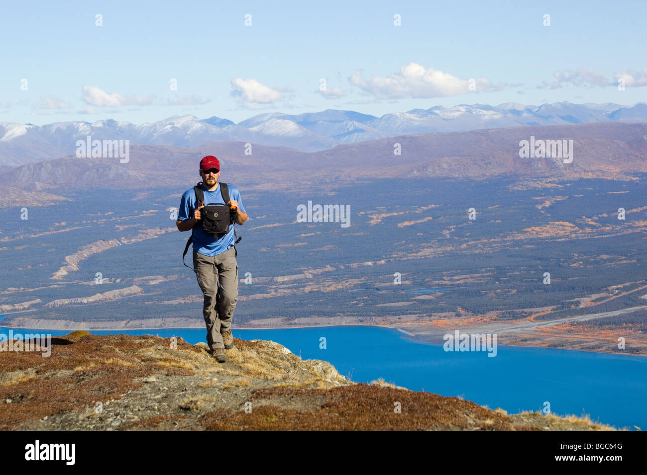 Wanderer, Mann, Wandern, Aussicht von Sheep Mountain Kluane Lake, Kluane Plateau, Shakwak Trench, Ruby Range, Kluane National Park ein Stockfoto