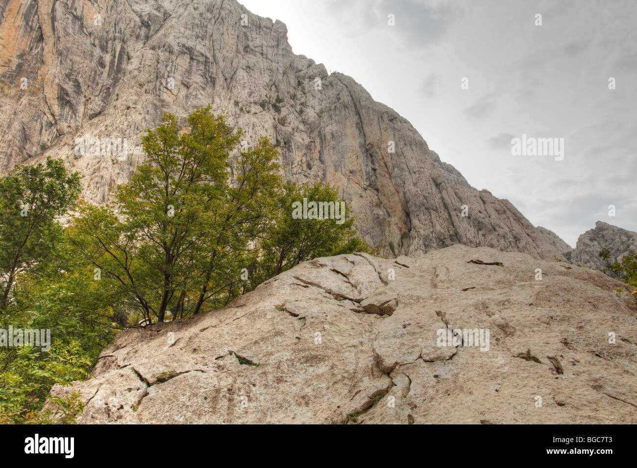 Velika Paklenica Canyon, Nationalpark Paklenica, Velebit Gebirge, Dalmatien, Kroatien, Europa Stockfoto