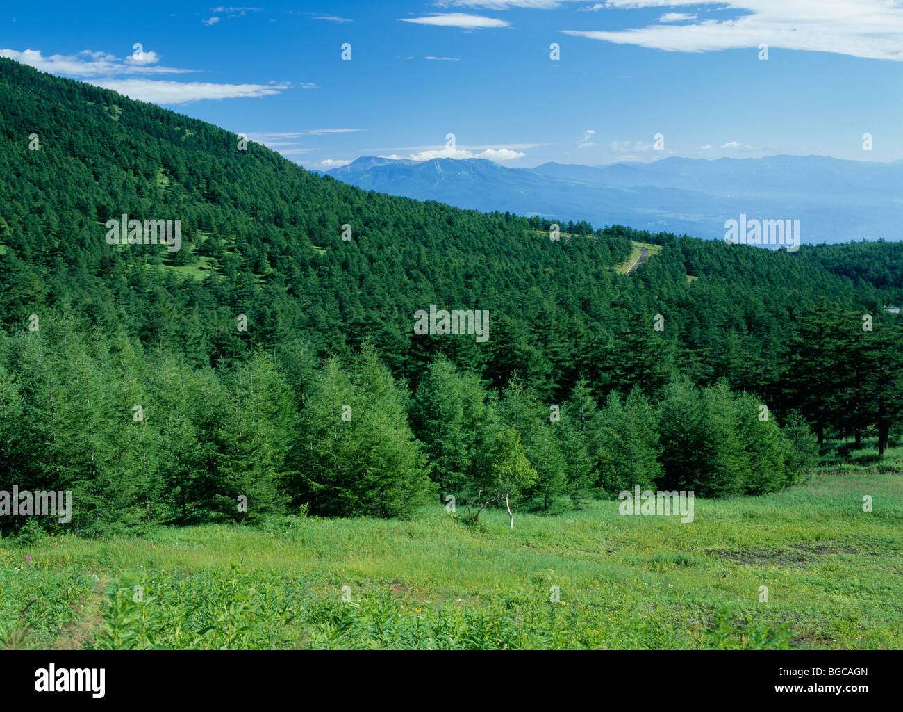 Takamine Highland, Komoro, Nagano, Japan Stockfoto