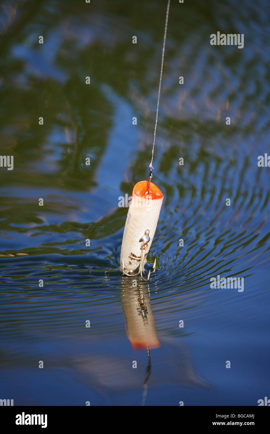 Heddon Chugger Spuk XRW 9540 Angeln Köder gefischt auf der Wasserfläche, die großen Mund Bass zu locken Stockfoto