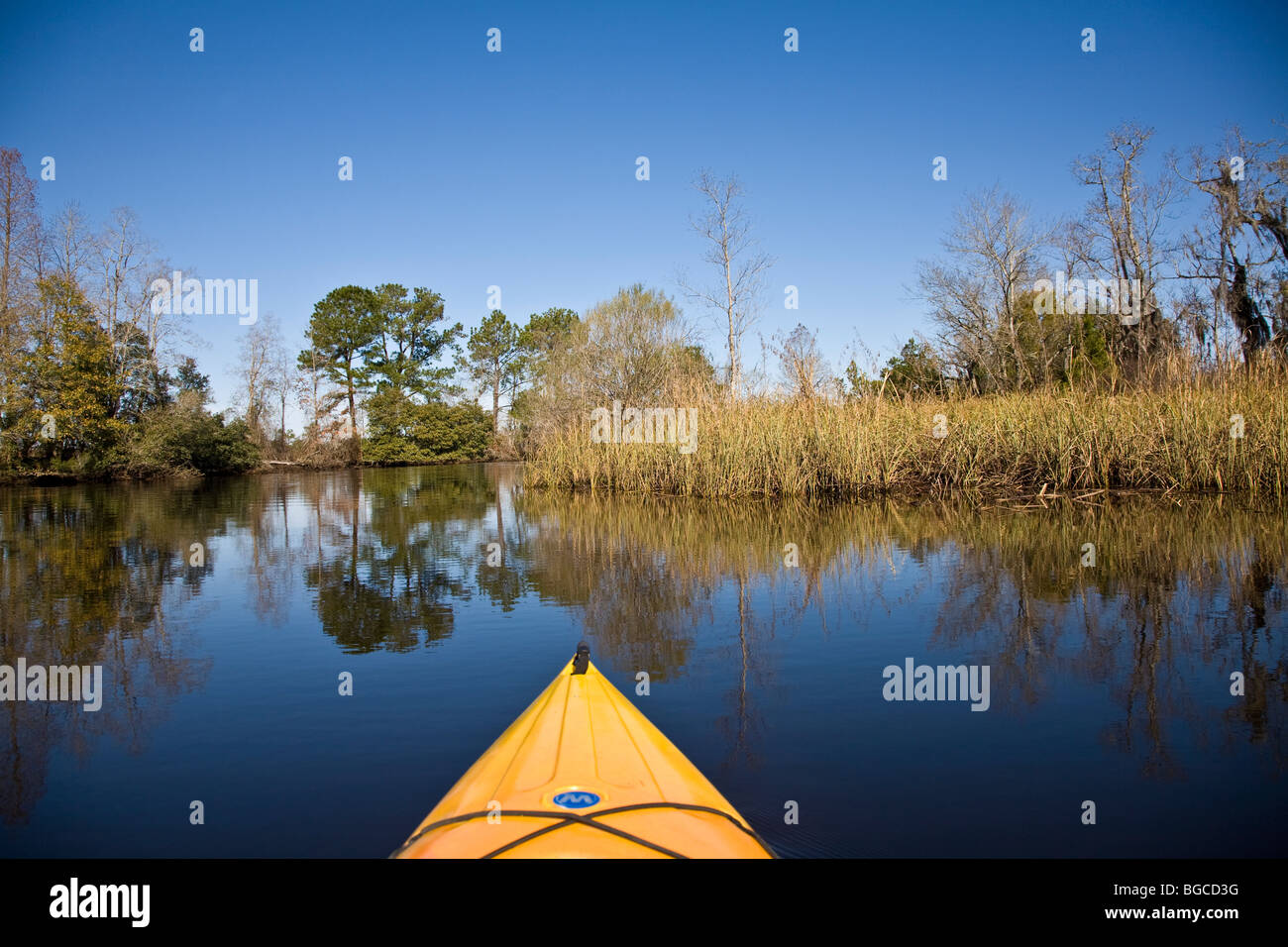 Kajakfahren durch alte Reis-Bratlinge in Quimby Creek in der Nähe von Charleston, South Carolina. Stockfoto