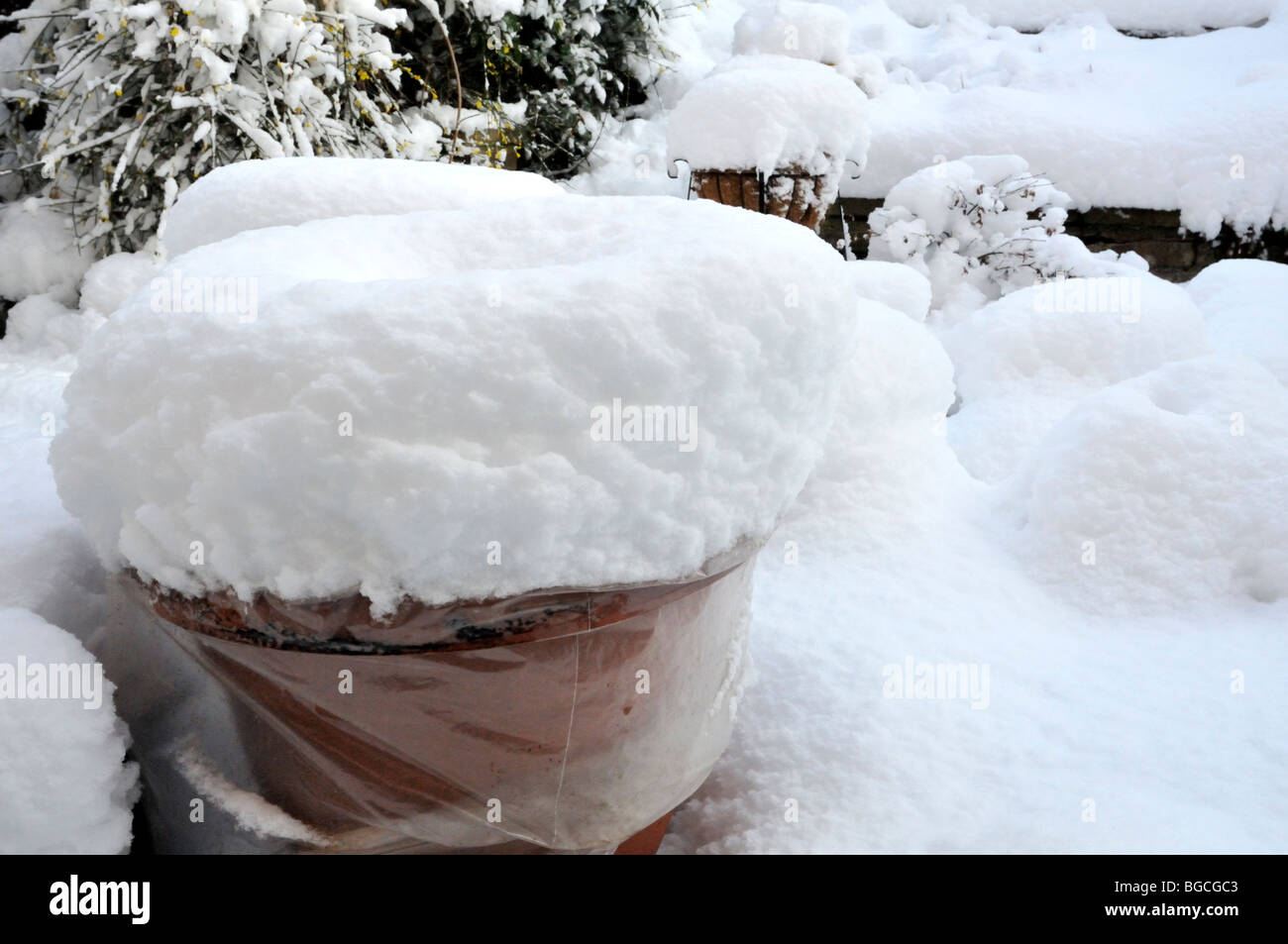 Mehr als 6 Zoll von Schnee auf den Garten Topf in Plastikbeutel verpackt. Stockfoto