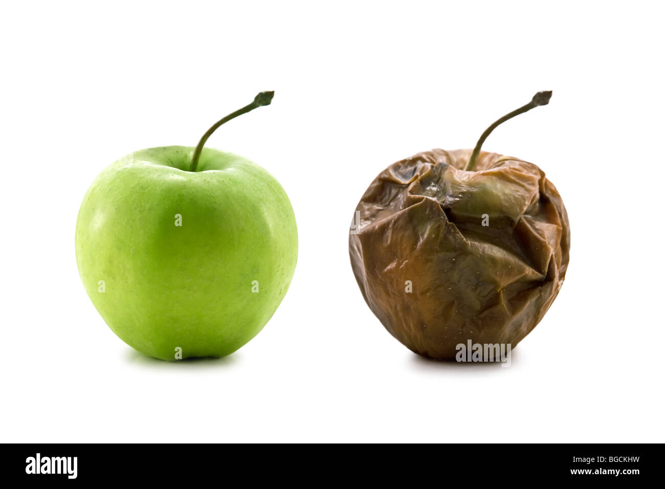 Metamorphose von zwei apple Stockfoto