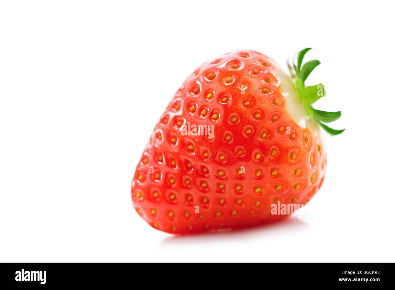 Erdbeer-Nahaufnahme Stockfoto