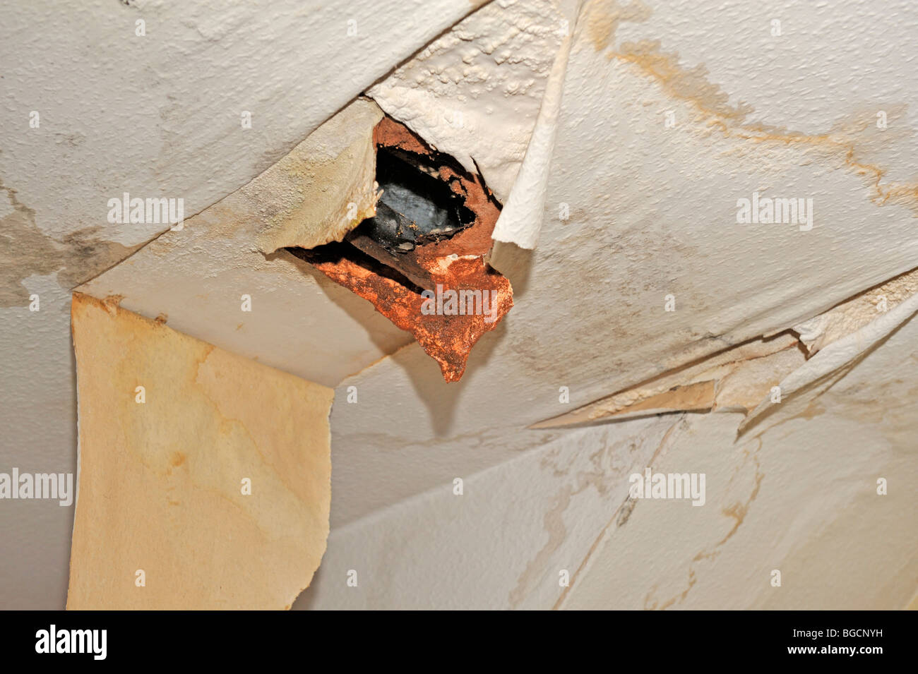 Wasser beschädigt Decke, Ergebnisse der undichten Dach Stockfoto