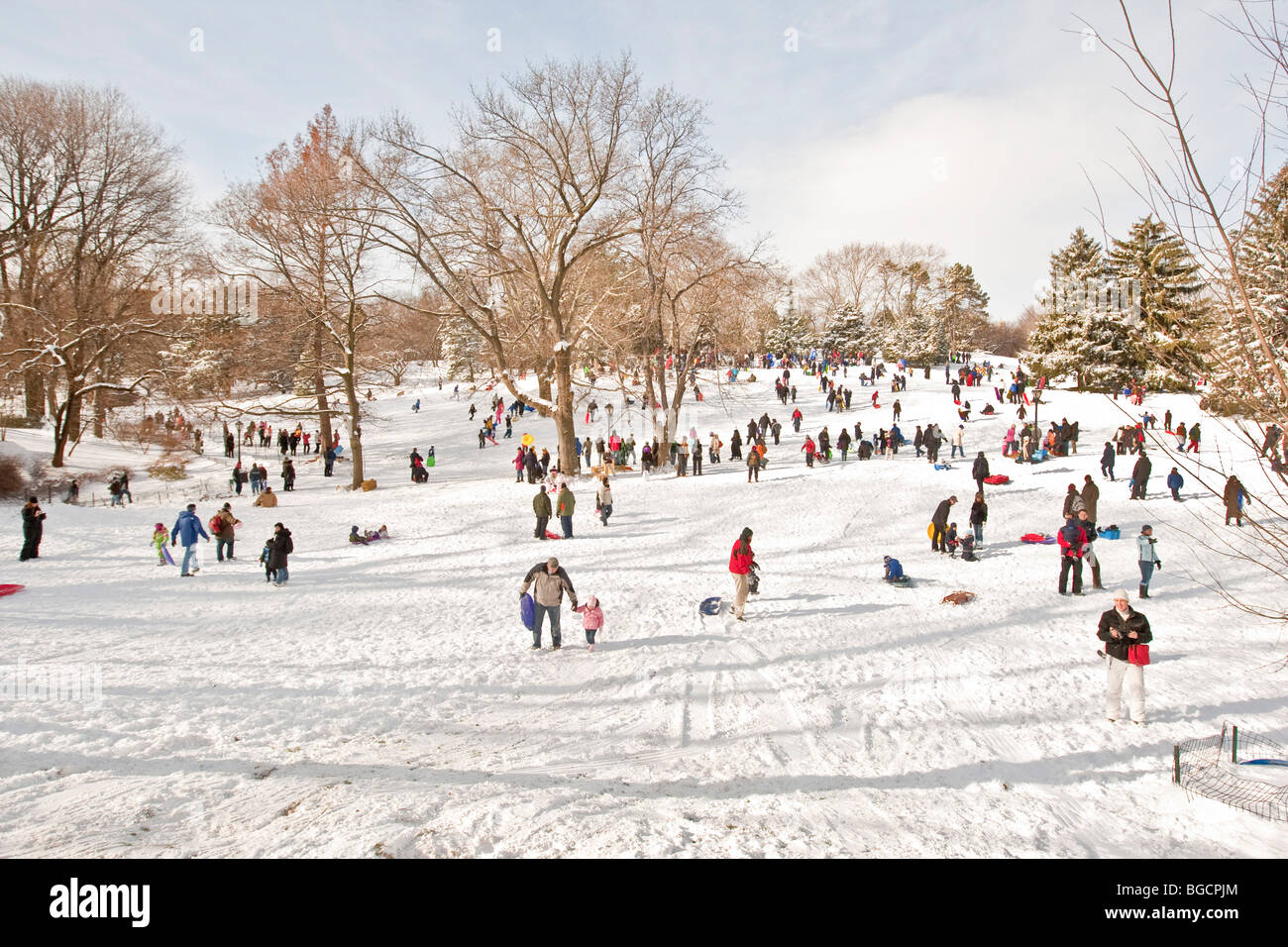 Kinder und Eltern Schlittenfahrten und viel Spaß im Schnee auf Cedar Hill im Central Park in New York, USA, 20. Dezember 2009. Stockfoto