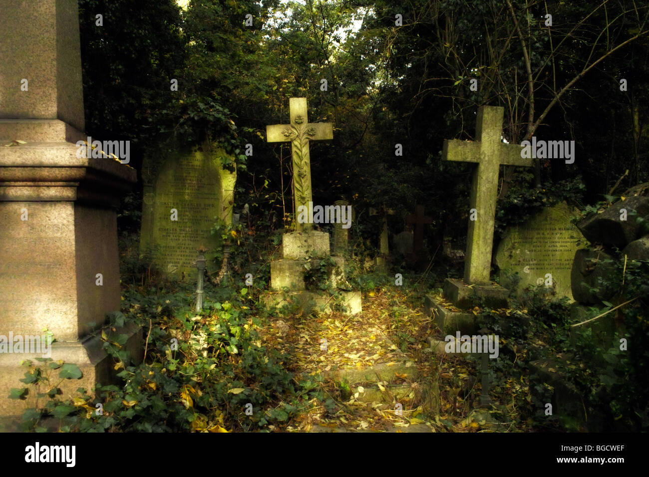Grabsteine und Unterholz in Highgate Cemetery in London England UK Stockfoto