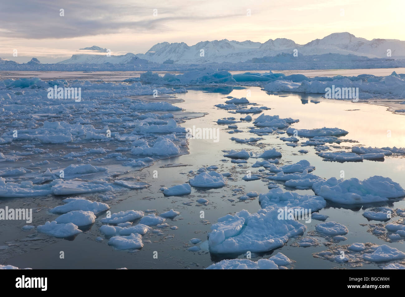 Tiniteqilaq und Meereis im Fjord, E. Grönland Stockfoto