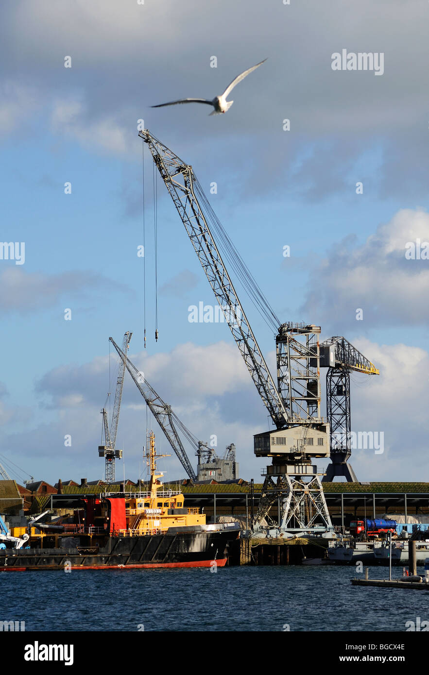 Kräne im Hafen von Falmouth, Cornwall, uk Stockfoto