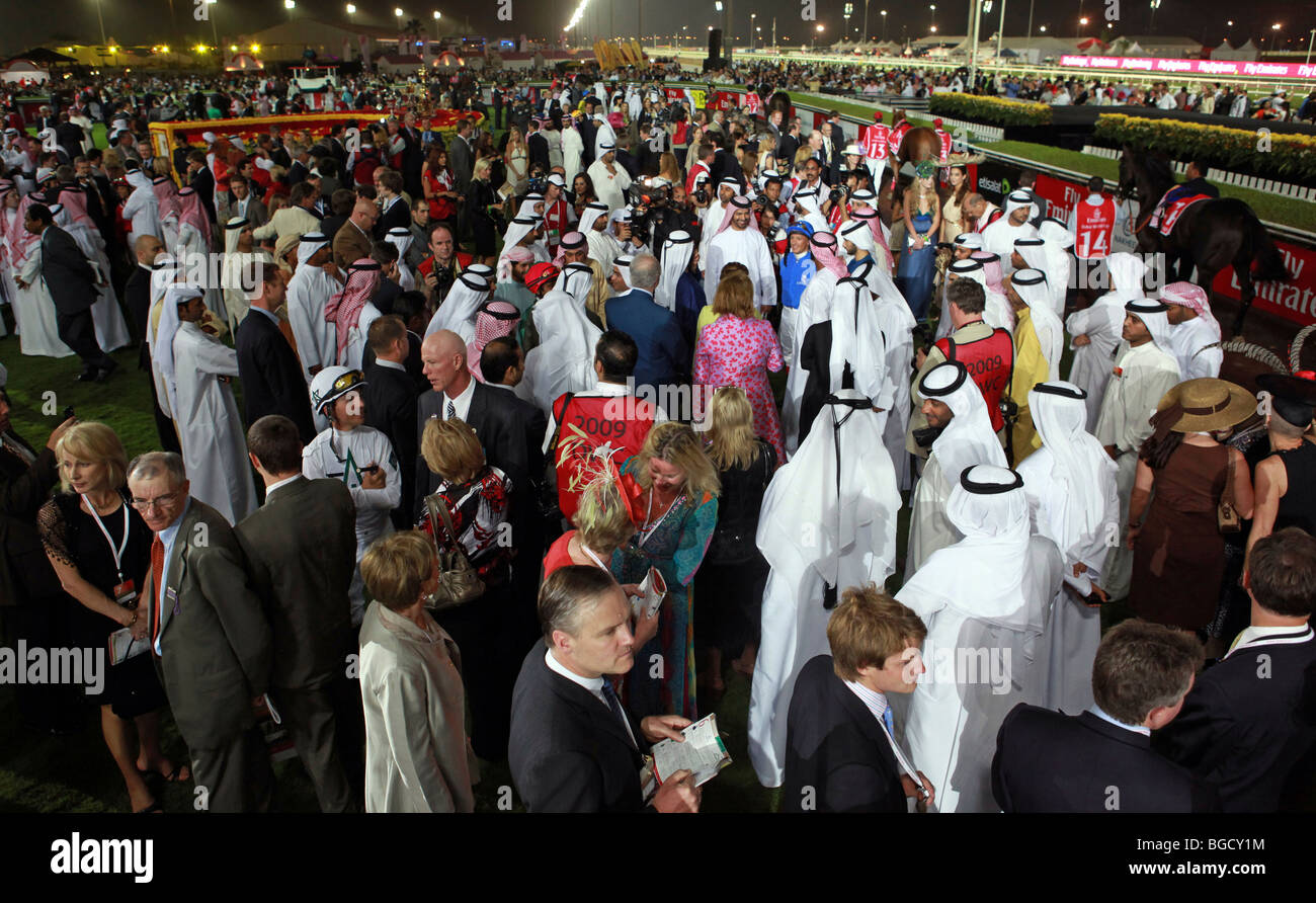 Die Teilnehmer der Dubai World Cup im Show-Ring, Dubai, Vereinigte Arabische Emirate Stockfoto