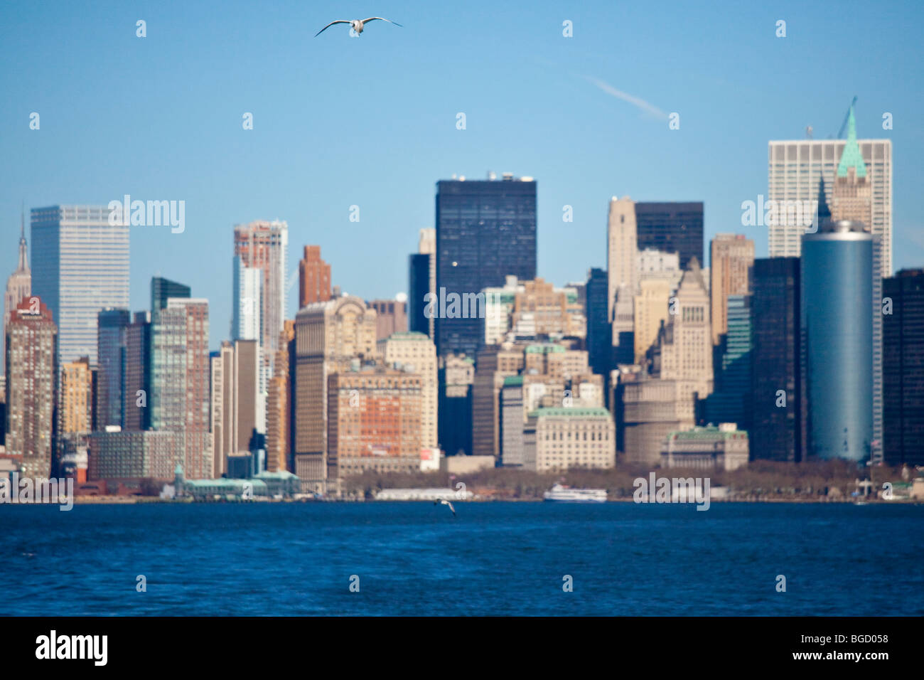 Möwe und der Manhattan Skyline, New York City Stockfoto