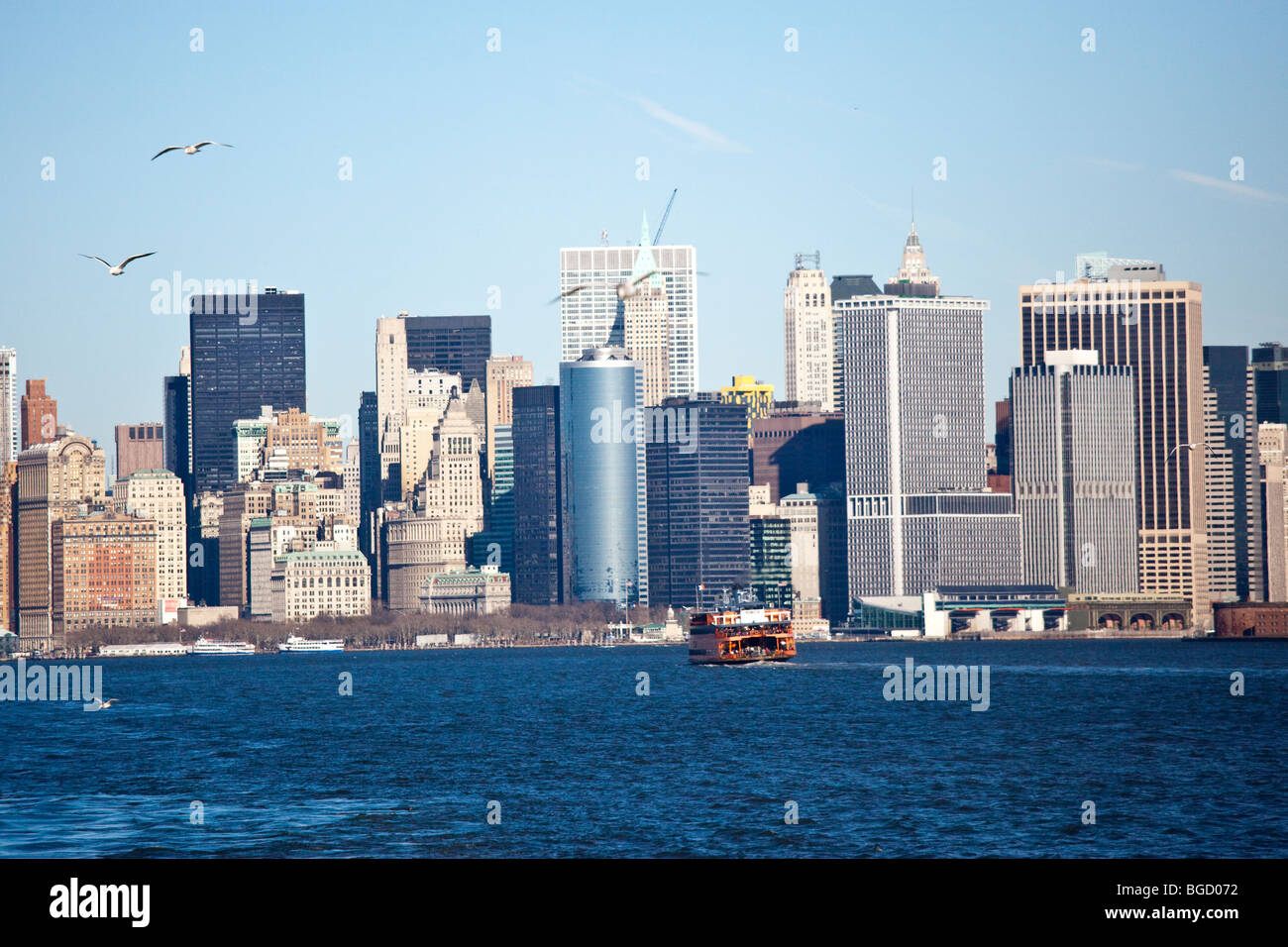 Möwen und der Manhattan Skyline, New York City Stockfoto