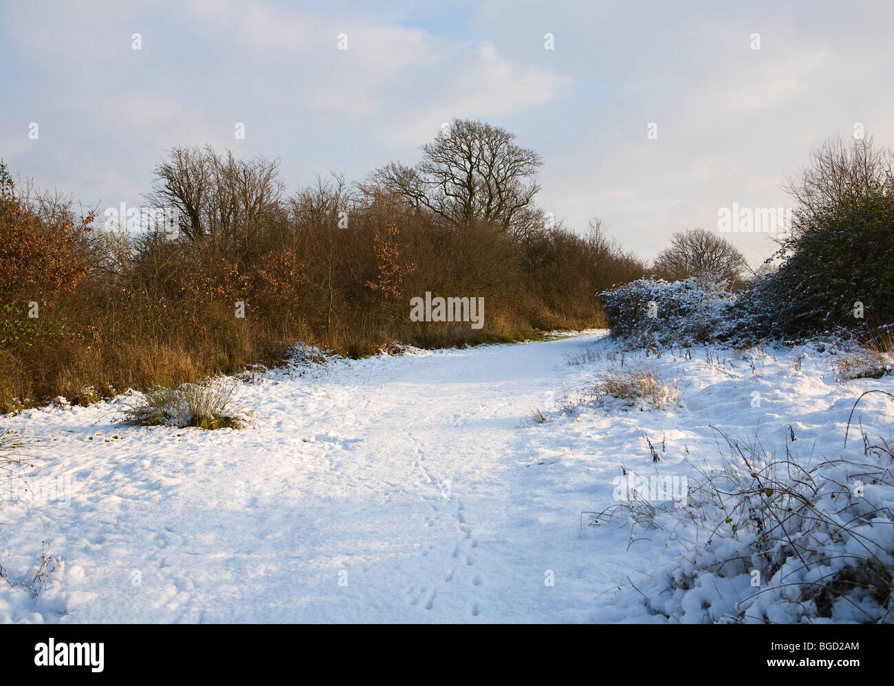 Tierspuren im Schnee in Sussex Landschaft im Winter. Stockfoto