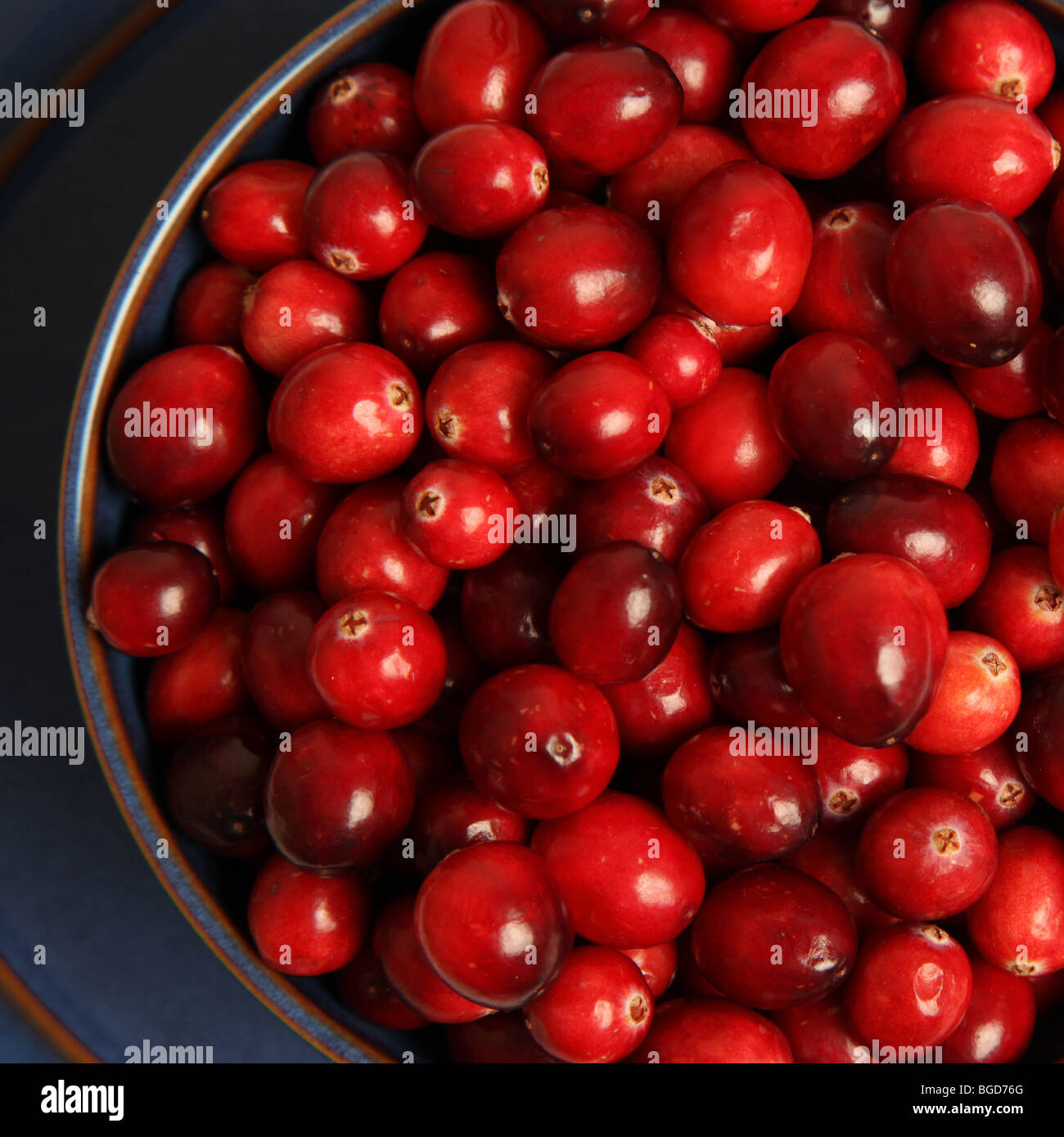 Rohe Moosbeeren bereit, vorbereitet zu sein Stockfoto