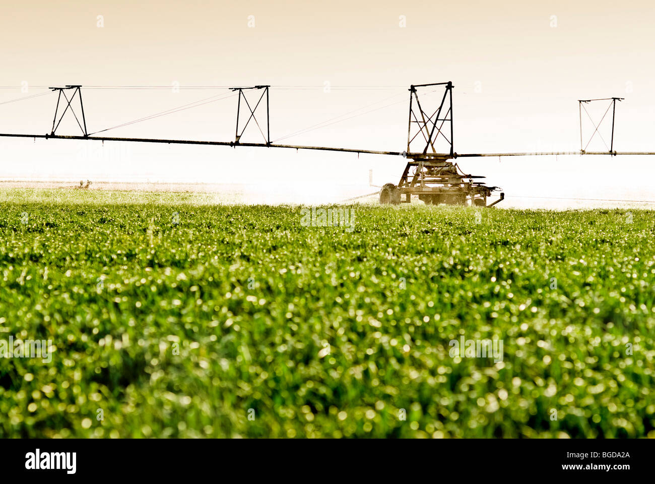 Bewässerte Landwirtschaft Stockfotos & Bewässerte Landwirtschaft Bilder