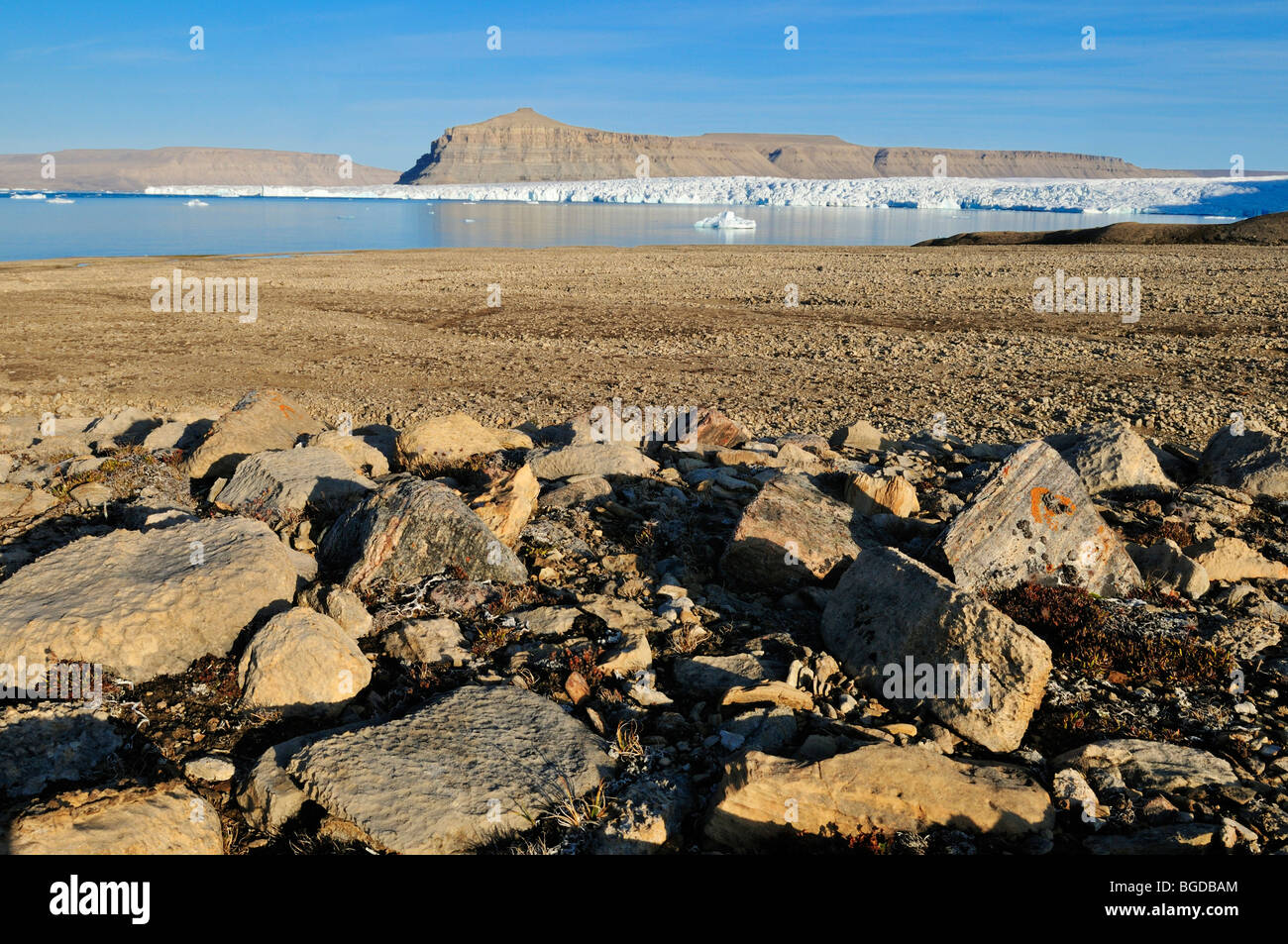 Arktische Tundra und Gletscher im Crocker Bay, Devon Island, Nordwest-Passage, Nunavut, Kanada, Arktis Stockfoto