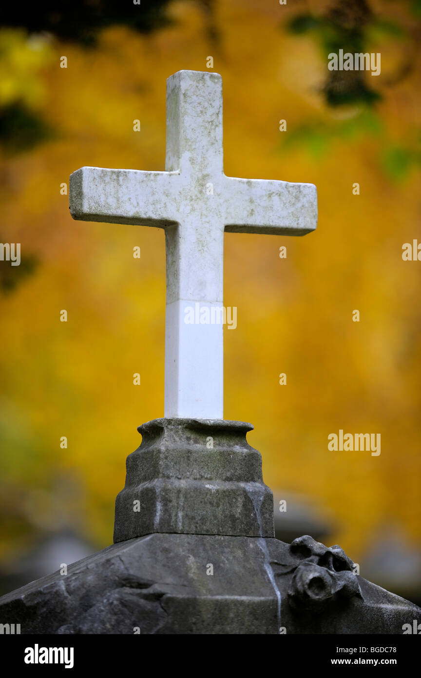 Grabstein mit hellem Stein überqueren vor bunten Herbstlaub, München, Bayern, Deutschland, Europa Stockfoto