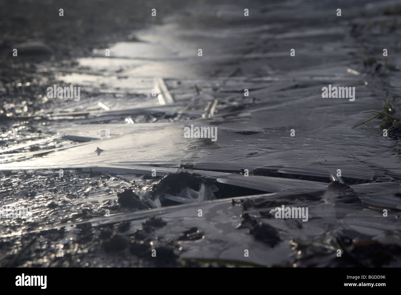 dünne Eisschicht gebildet auf einer ländlichen Strecke an einem kalten frostigen Wintermorgen in Irland Stockfoto