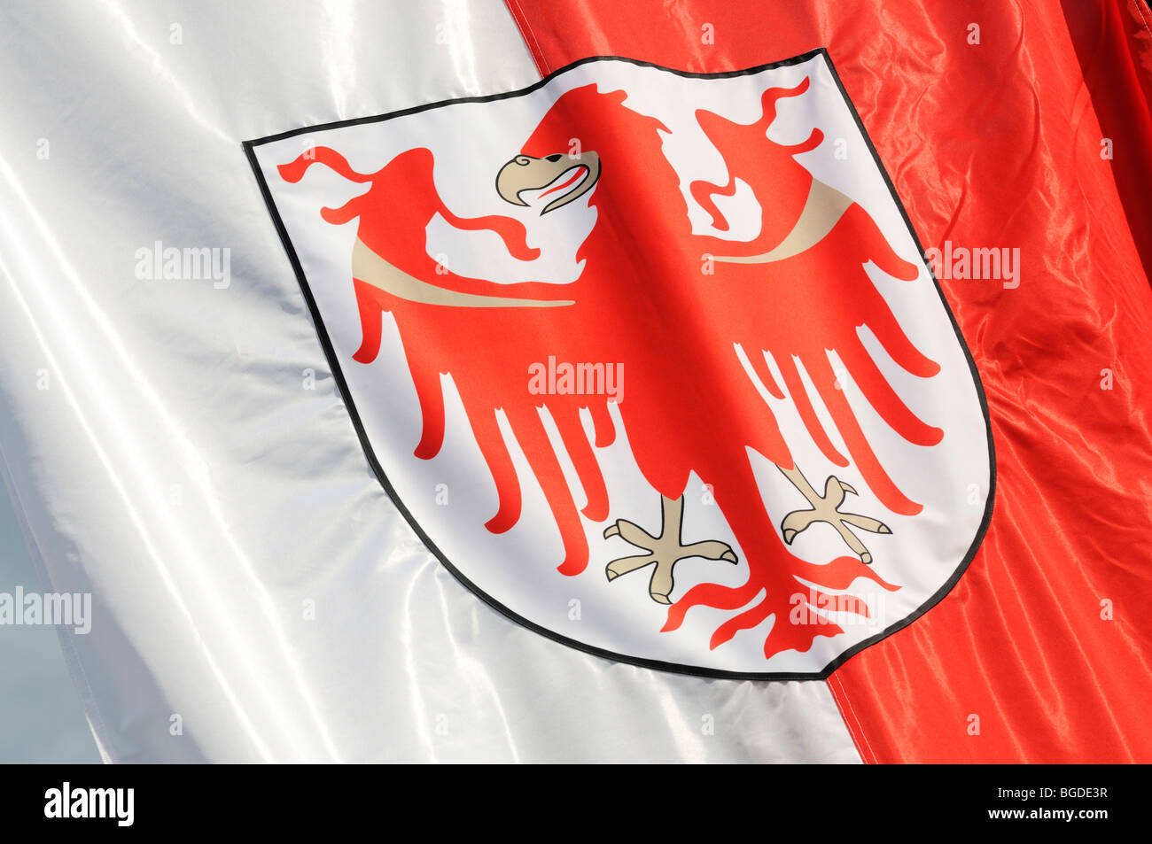 Zustand-Markierungsfahne, Südtiroler Eagle, Südtirol, Italien, Europa Stockfoto