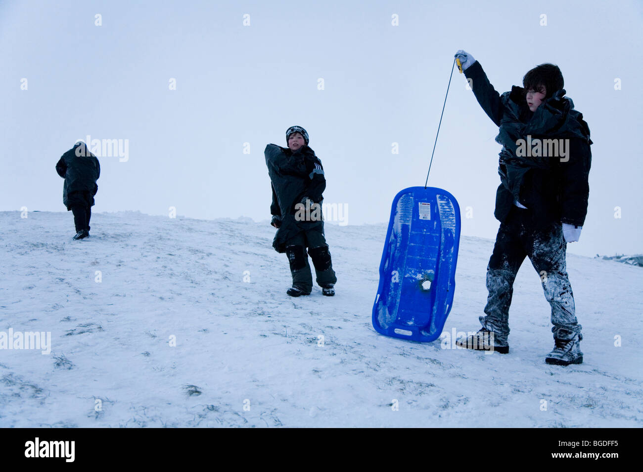 Drei jungen spielen im Schnee. Hafnarfjordur, größere Fläche, Island. Stockfoto