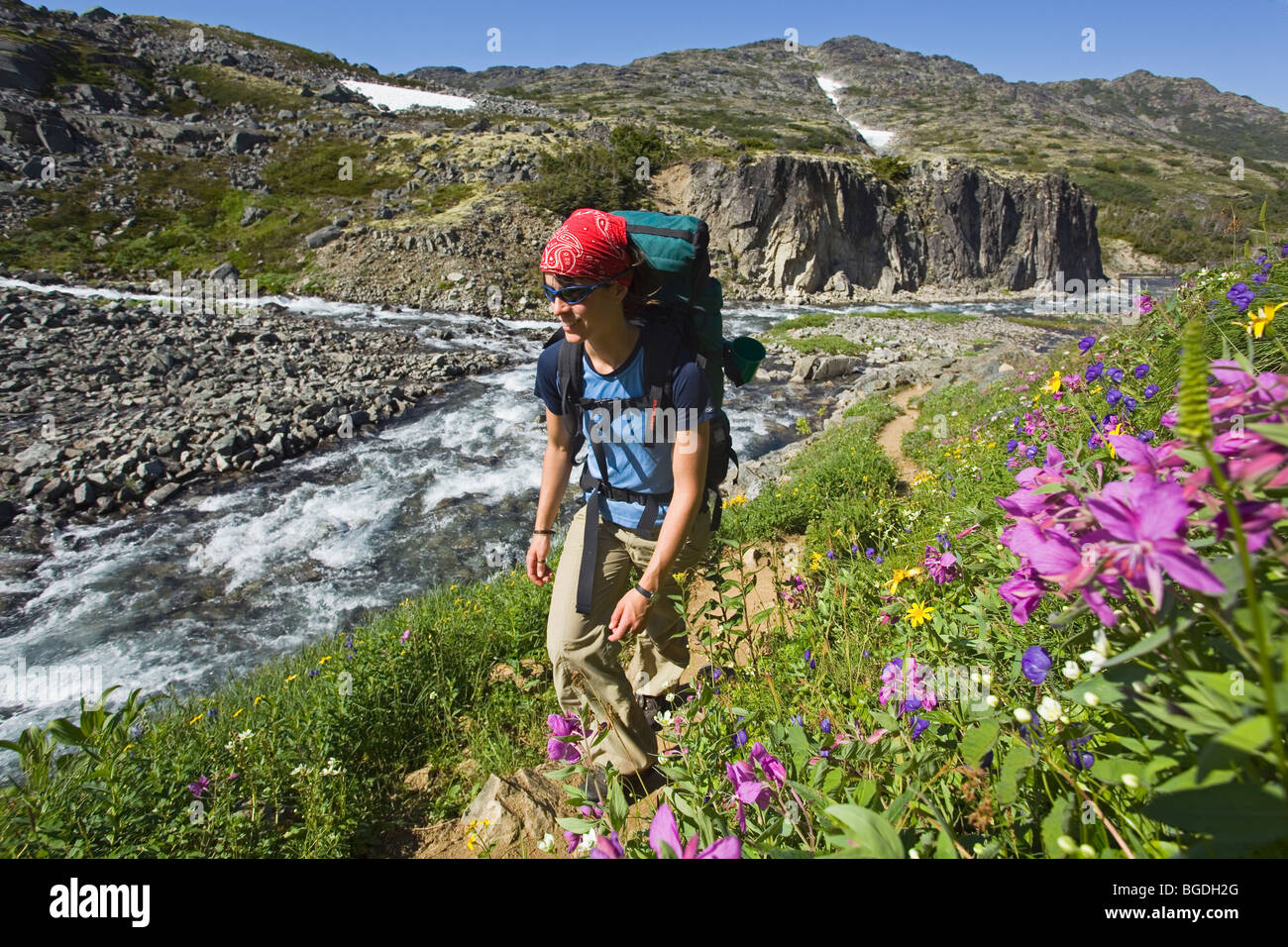 Junge Frau, Wandern, Wandern, Wanderer mit Rucksack, blühen Alpenblumen, historische Chilkoot Pass, Chilkoot Trail, Creek werden Stockfoto