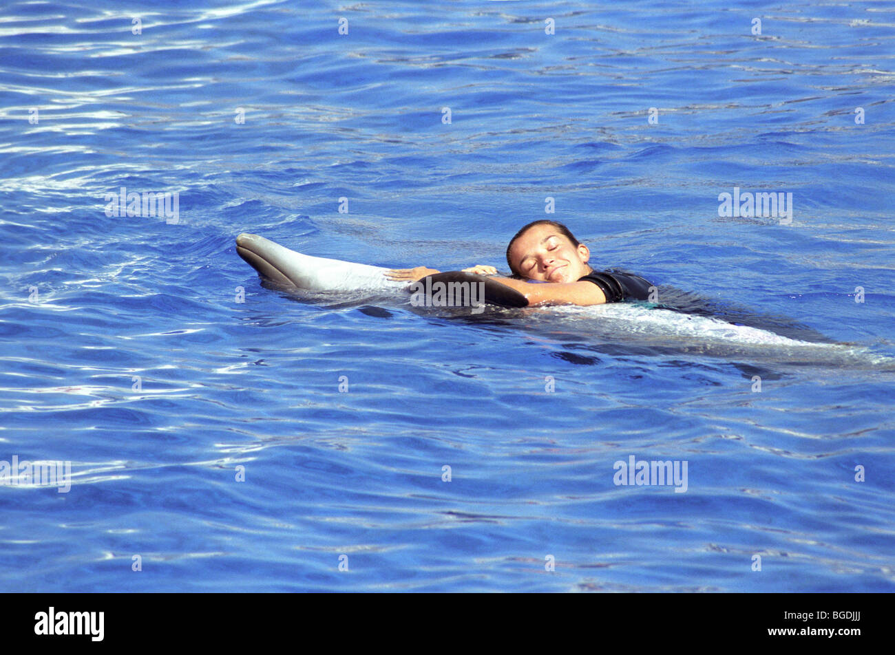 Delfinshow im Oceanografico in Valencia, Spanien, Europa Stockfoto