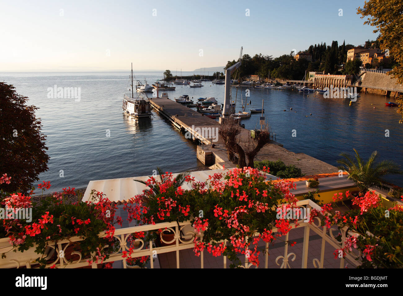 Blick vom Balkon mit Geranien auf dem Fischerhafen, Angeln, Boote, Ika, Istrien, Kvarner, Kroatien, Europa Stockfoto