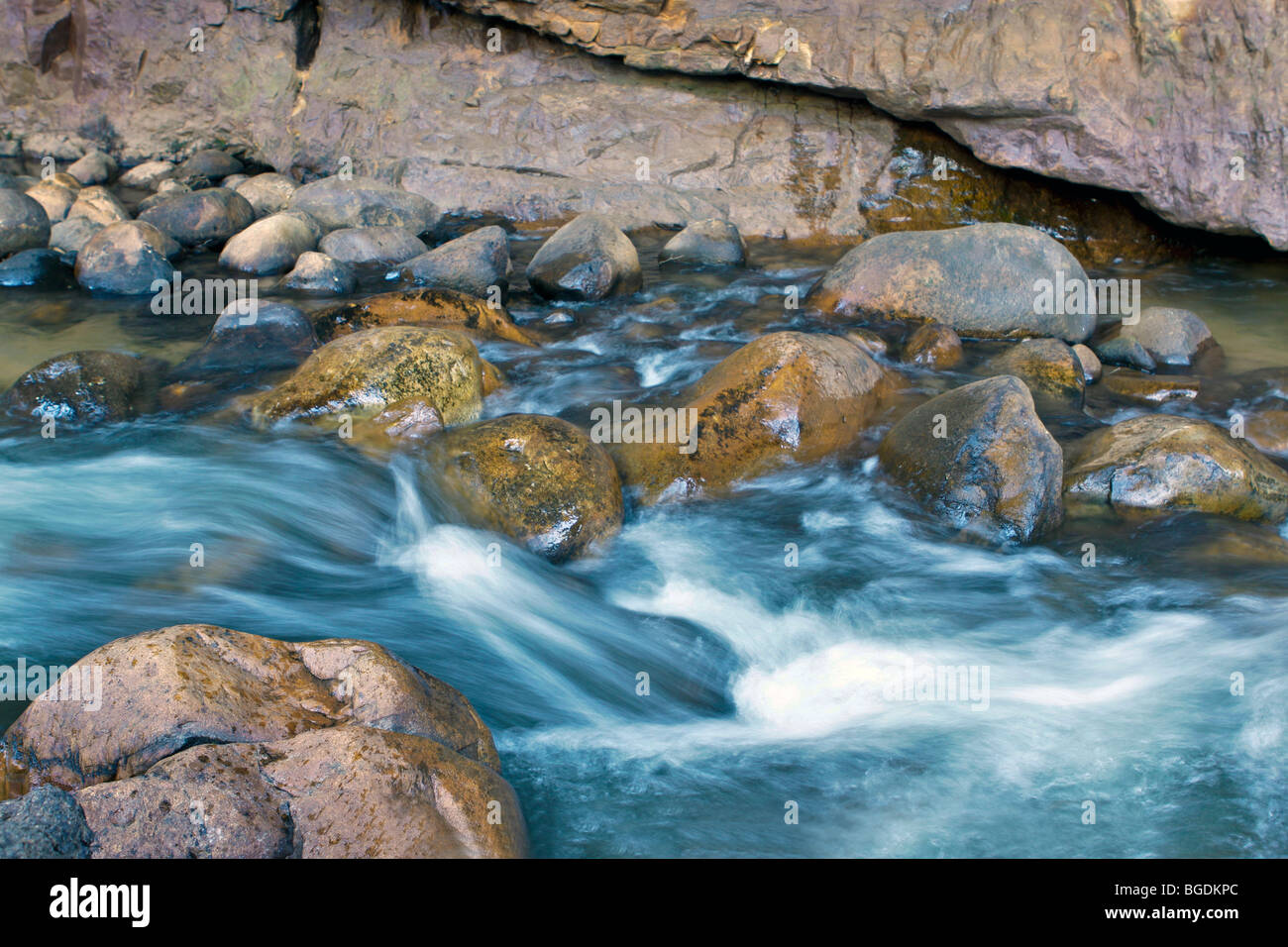 Stromschnellen im Fluss Rondegat in den Cederbergen of the Western Cape in Südafrika. Stockfoto