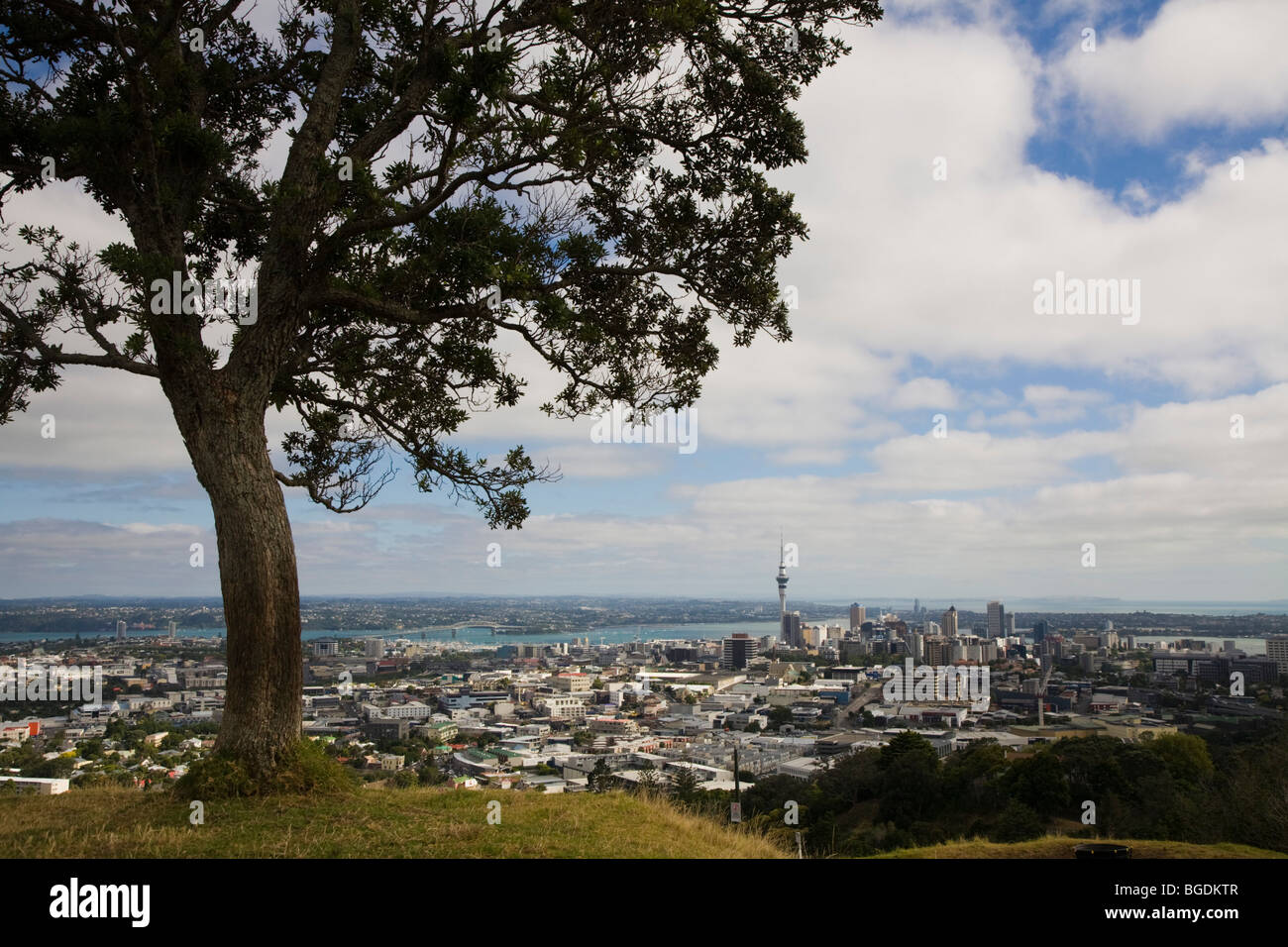 Blick auf Auckland Sky Tower von Mt. Eden, Neuseeland, Nordinsel Stockfoto