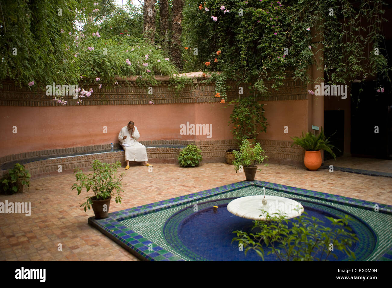 Der Jardin Majorelle Gärten begabt von Yves Saint Laurent, der Altstadt
