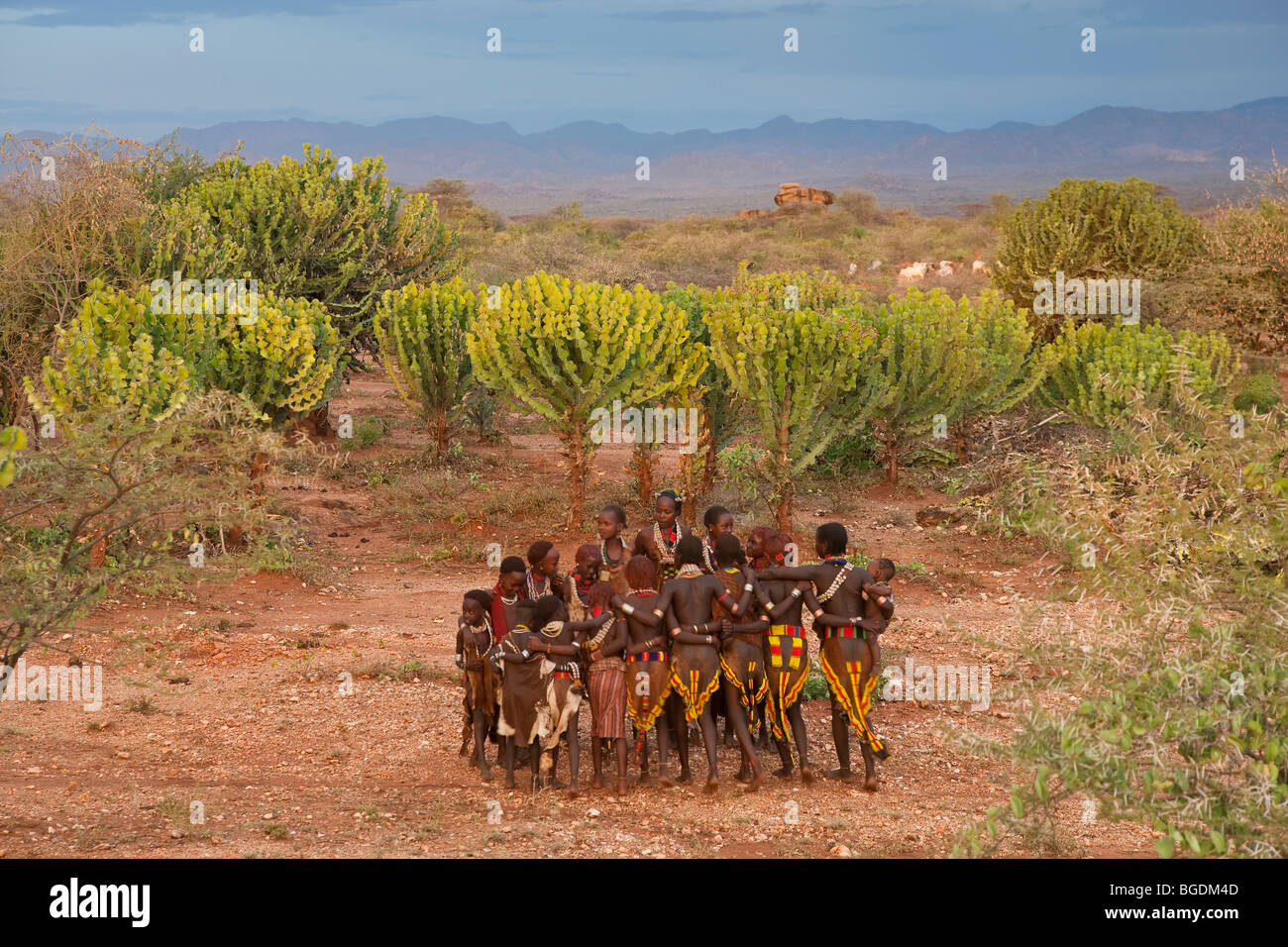 Hamer Tänzer, Omo-Tal, Äthiopien Stockfoto