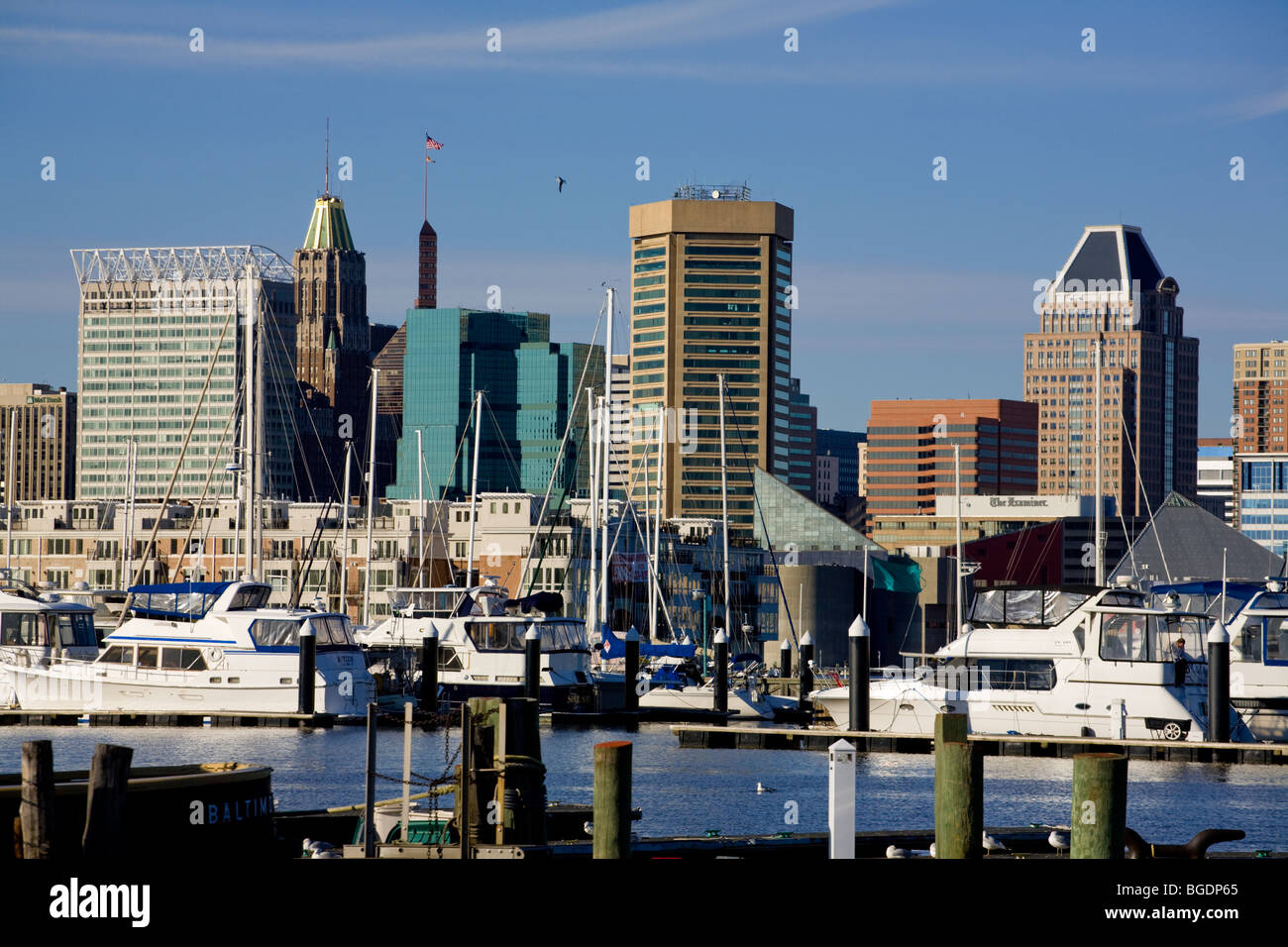 Skyline von Baltimore, Maryland Blick über Hafen Stockfoto