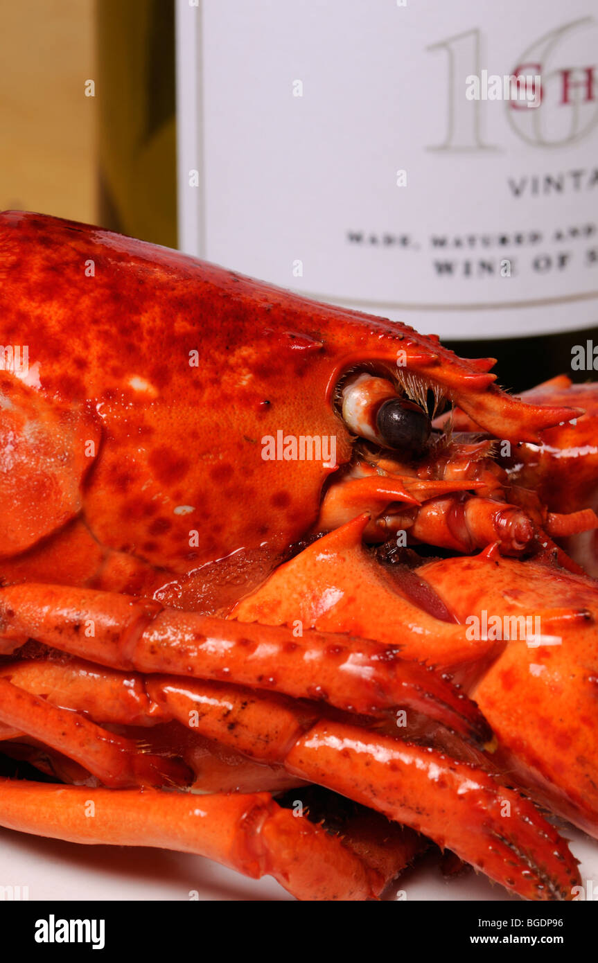 Gekochter Hummer und eine Flasche Weißwein Stockfoto