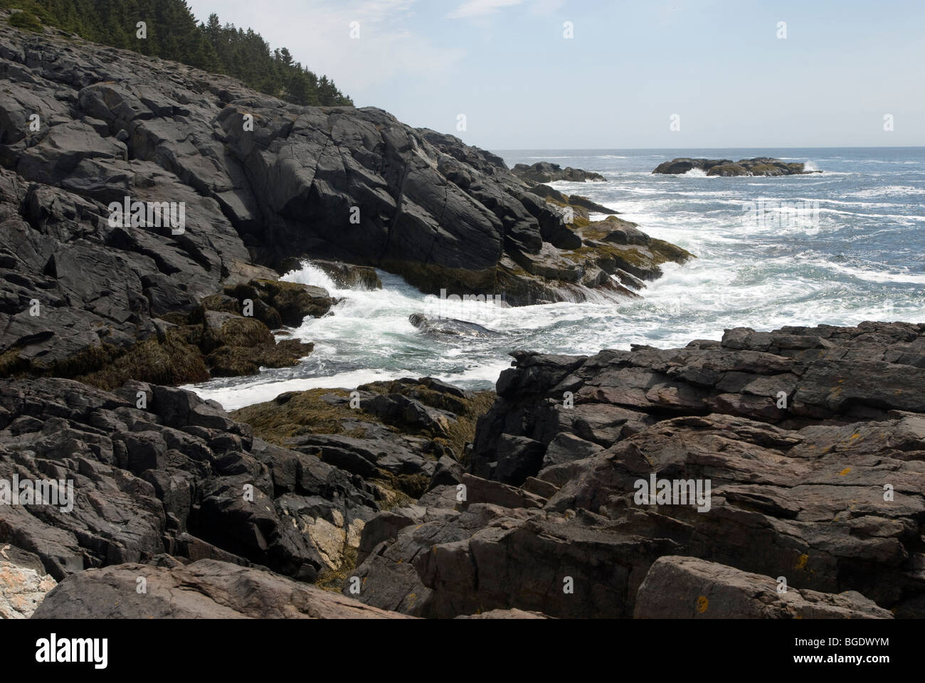 Monhegan Island in Maine ist ein Ziel für Wanderer und Naturliebhaber und hat eine felsige Küste und gefährliche Brandung. Stockfoto