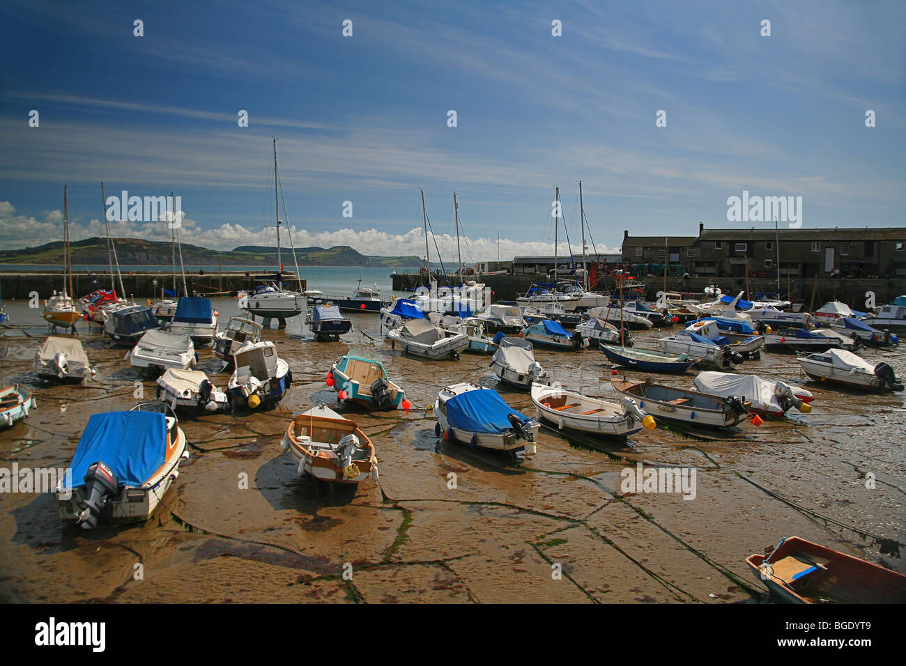 Hafen von bunten Fischerbooten in Lyme Regis, Dorset, England, UK Stockfoto