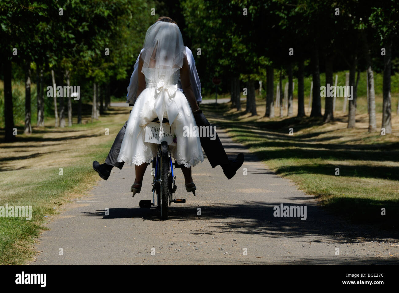 Auf der Rückseite des Zyklus geklebt Stock Foto von Braut und Bräutigam auf einem Tandem-Fahrrad mit den Worten, die gerade geheiratet. Stockfoto