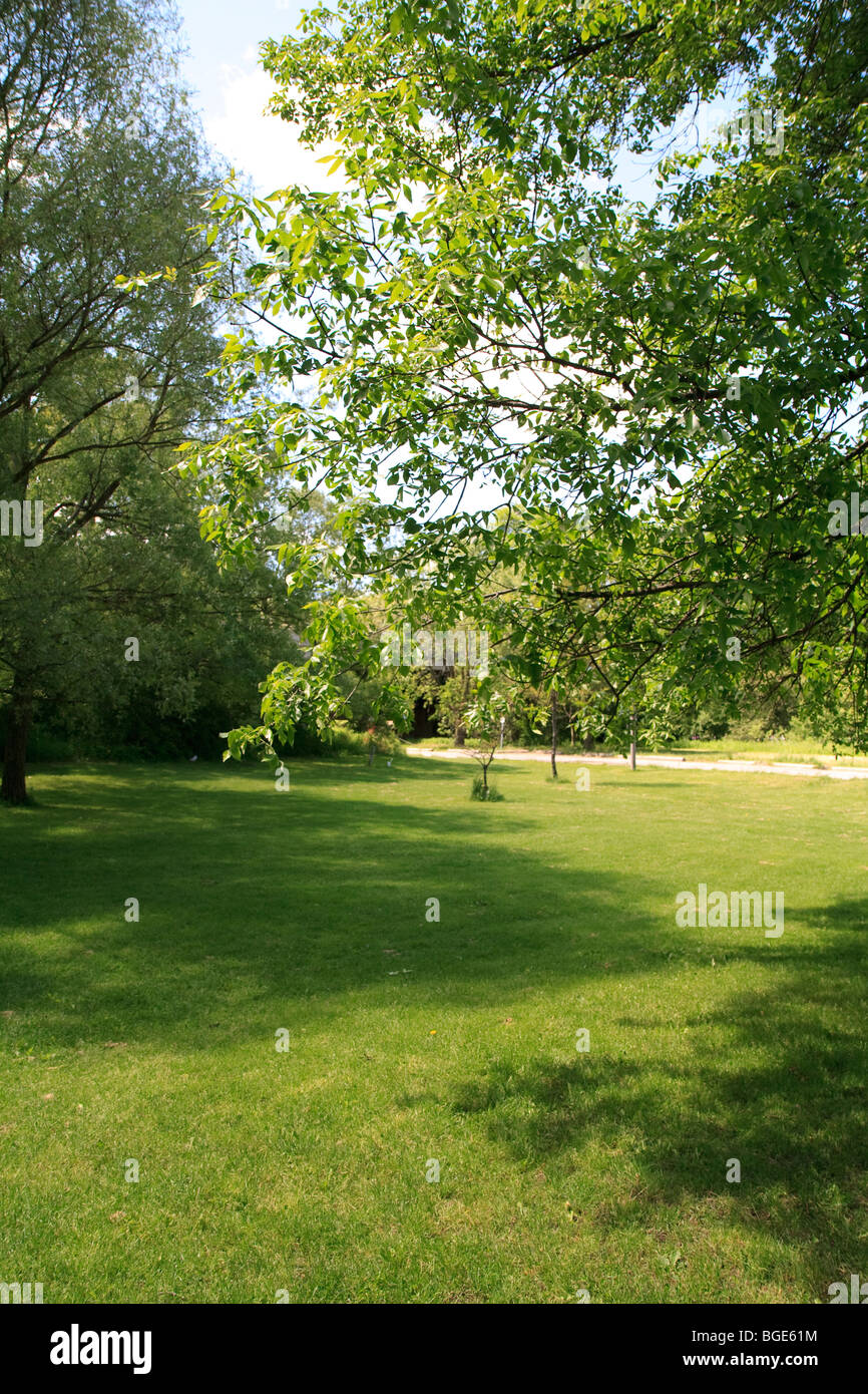 Park Rasen Sonnentag Stockfoto