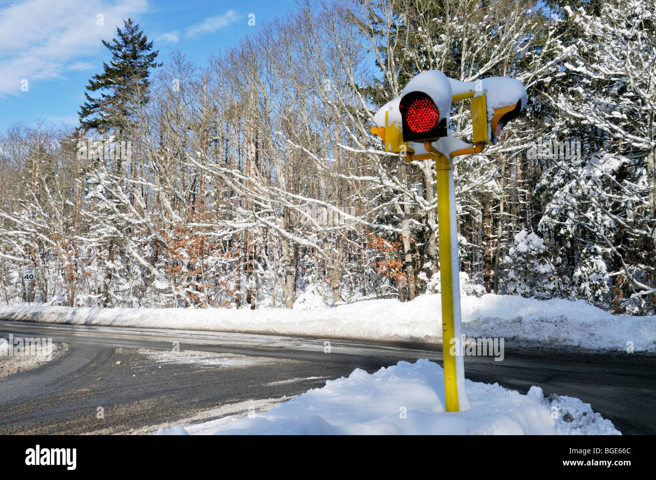 Rote Ampel an der Kreuzung einer verschneiten Cape Cod-Winter-Straße an einem sonnigen blauen Himmel Tag. Stockfoto