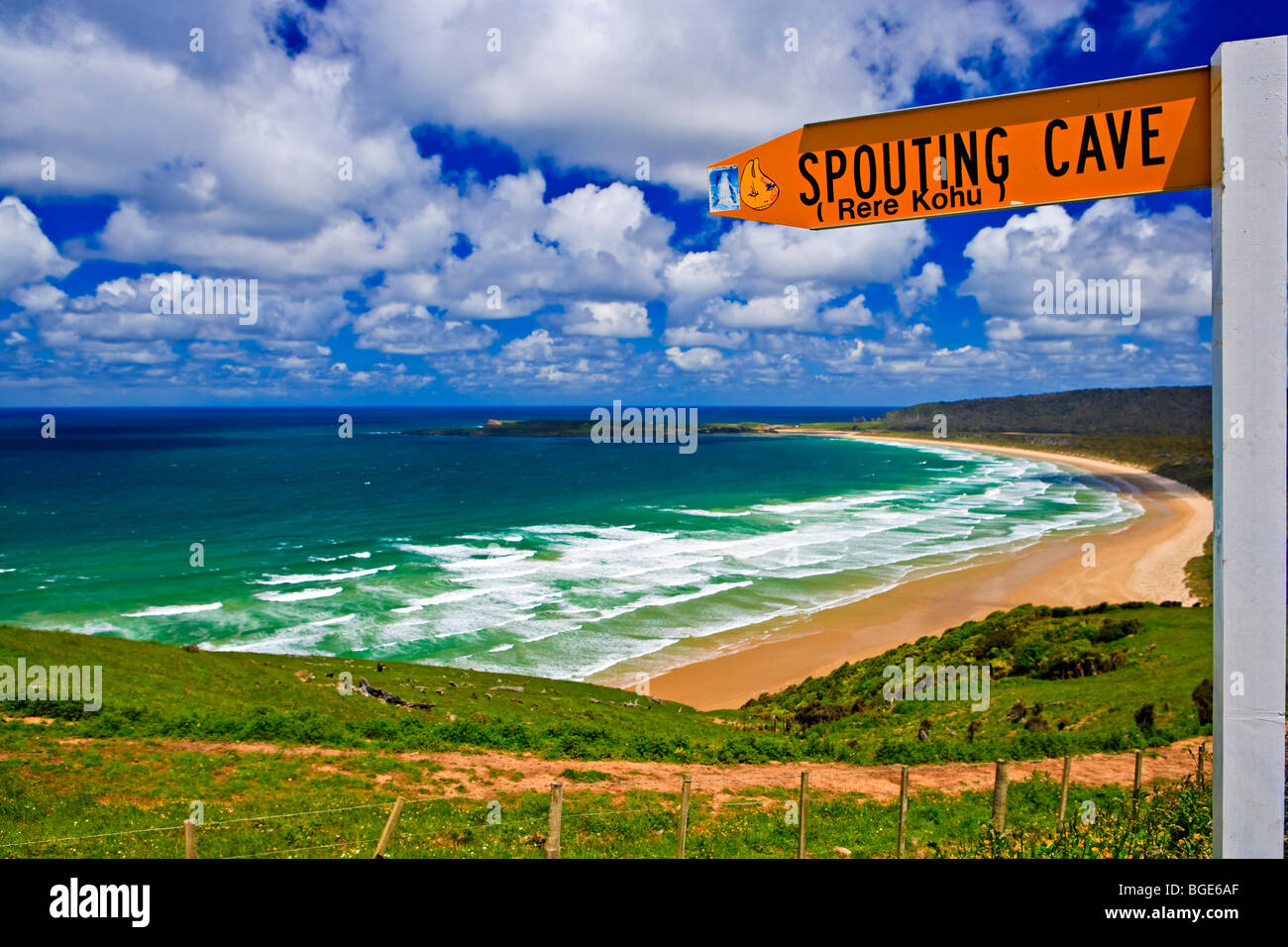 Tautuku Bay und Tautuku Halbinsel und Strand von Florenz Hill Lookout entlang der Catlins Coastal Heritage Trail, südliche S gesehen Stockfoto