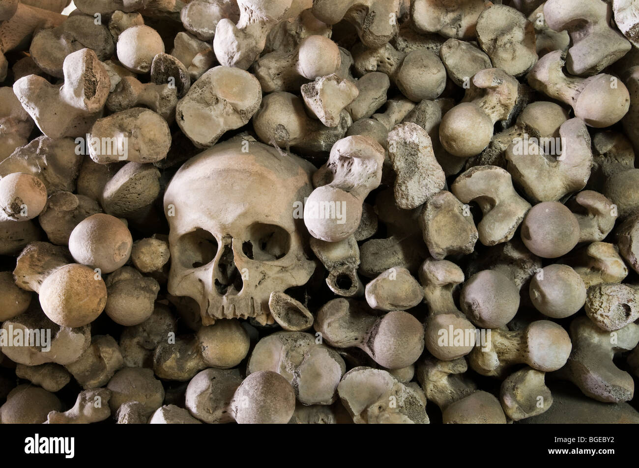 Menschlicher Schädel umgeben von gestapelten Röhrenknochen in das Beinhaus von St Leonards Kirche, Hythe, Kent, England Stockfoto