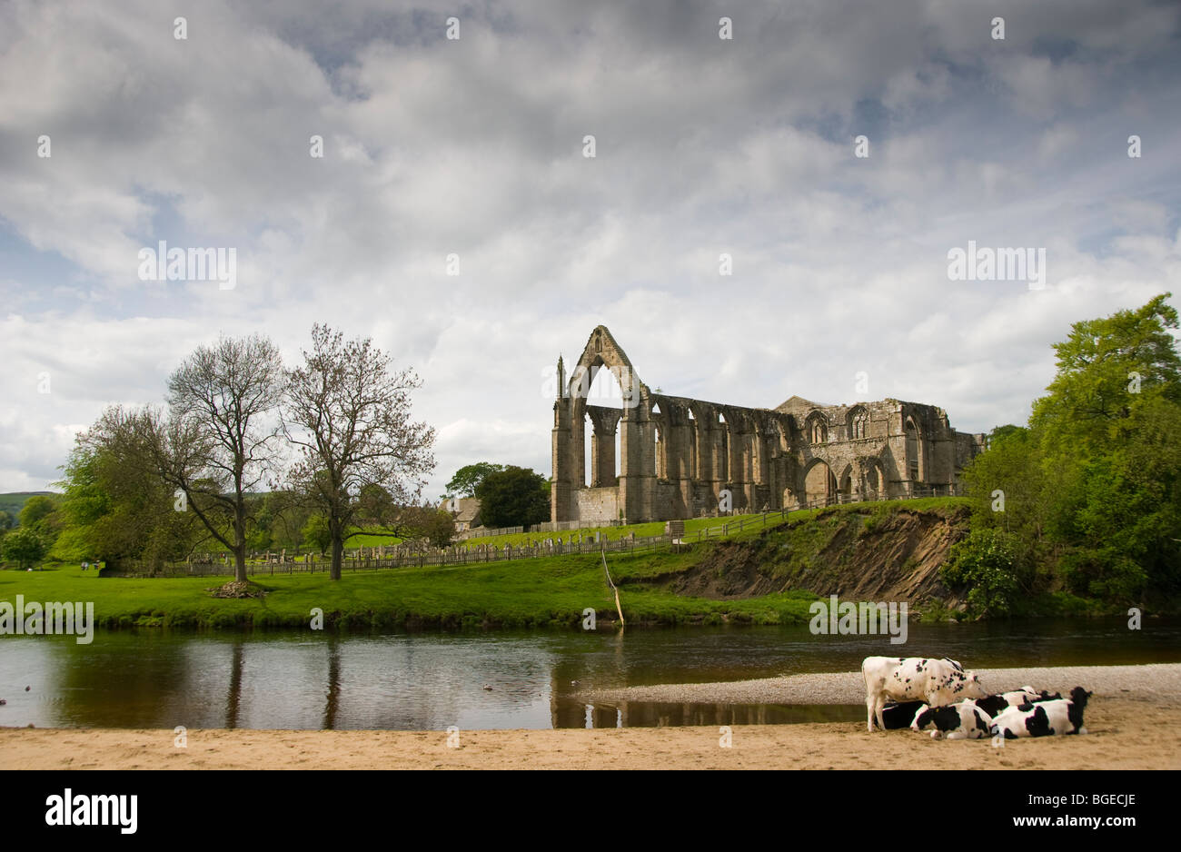 Die Überreste von Bolton Abbey aus über dem River Wharfe gesehen Stockfoto