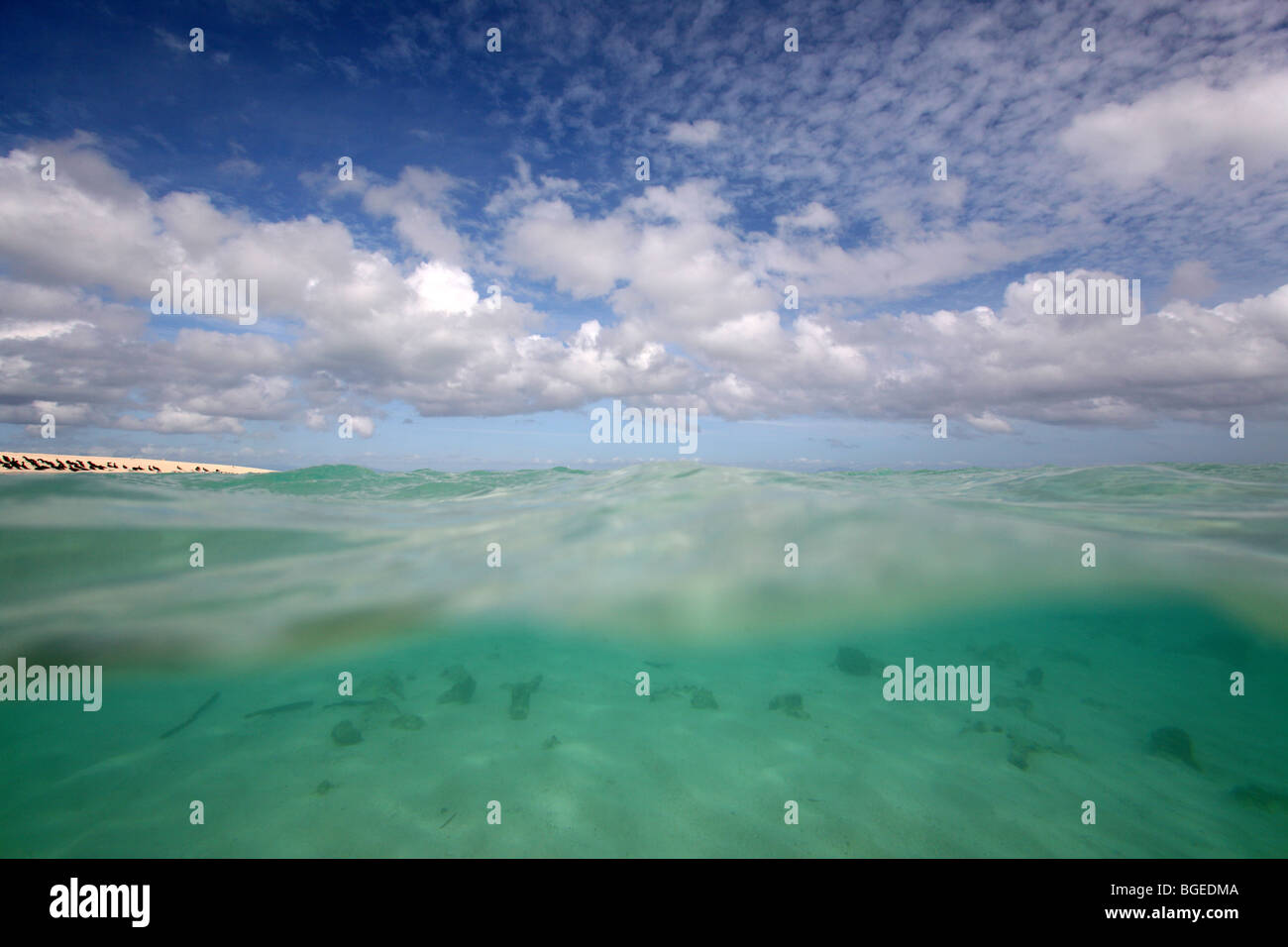 Klare Wasser des Great Barrier Reef Michaelmas Cay. Stockfoto