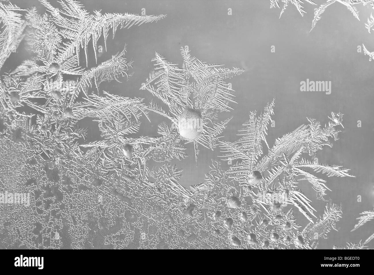 Nahaufnahme Makro gefrorenen Schnee Flocke Wissenschaft Naturwunder Stockfoto