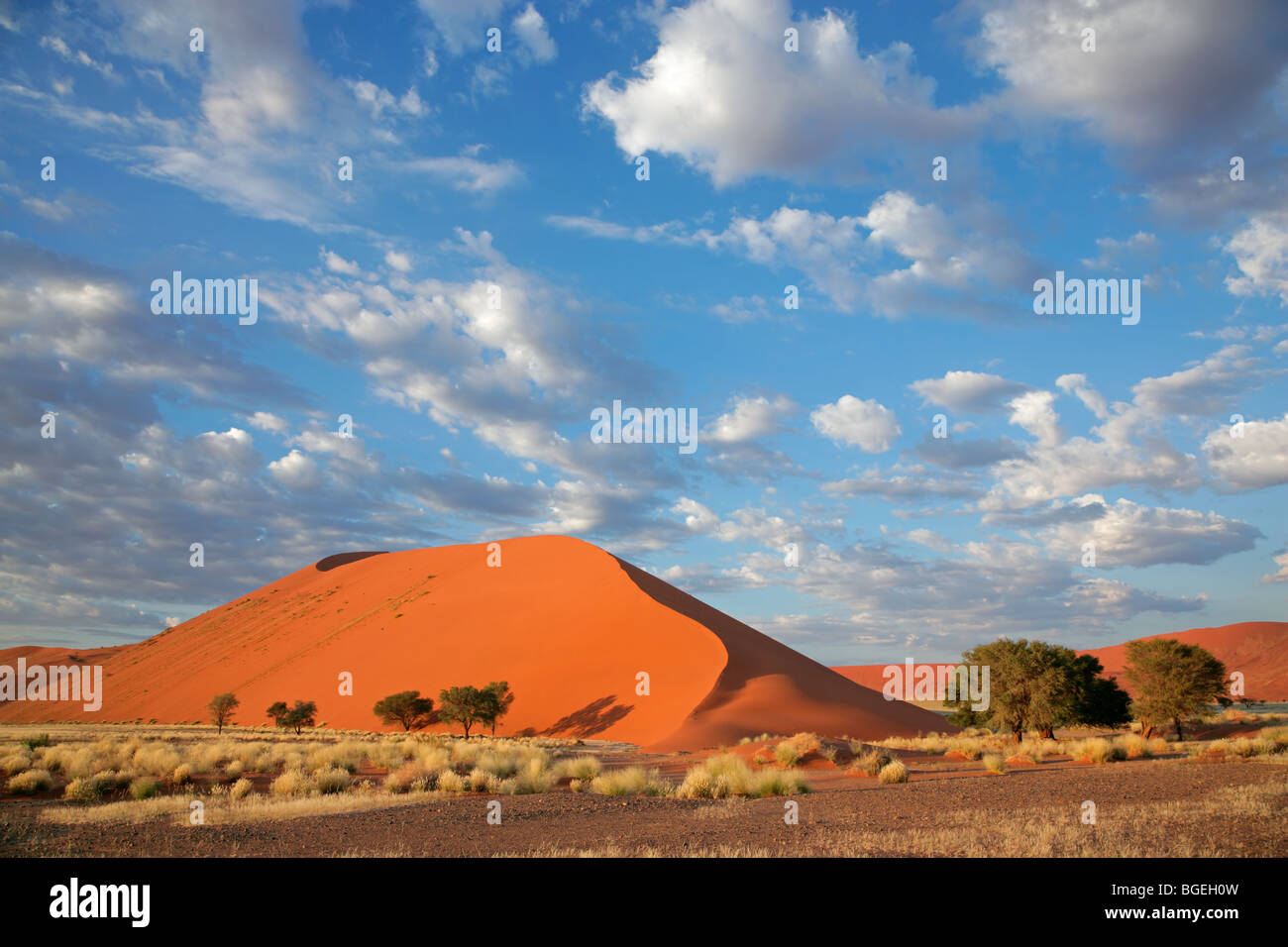 Landschaft mit Wüste Gräser, große Sanddüne und Himmel mit Wolken, Sossusvlei, Namibia, Südliches Afrika Stockfoto