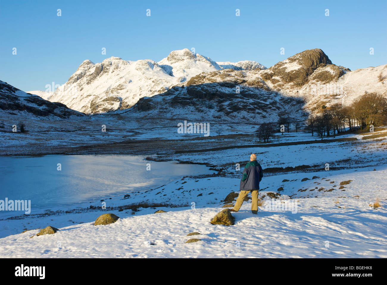 Walker vor Blea Tarn & Langdale Pikes, wenig Langdale, Nationalpark Lake District, Cumbria, England UK Stockfoto