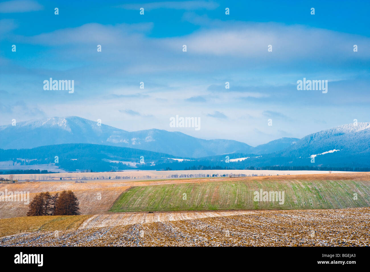 Felder und Berge im ersten Schnee, Liptauer, Slowakei Stockfoto