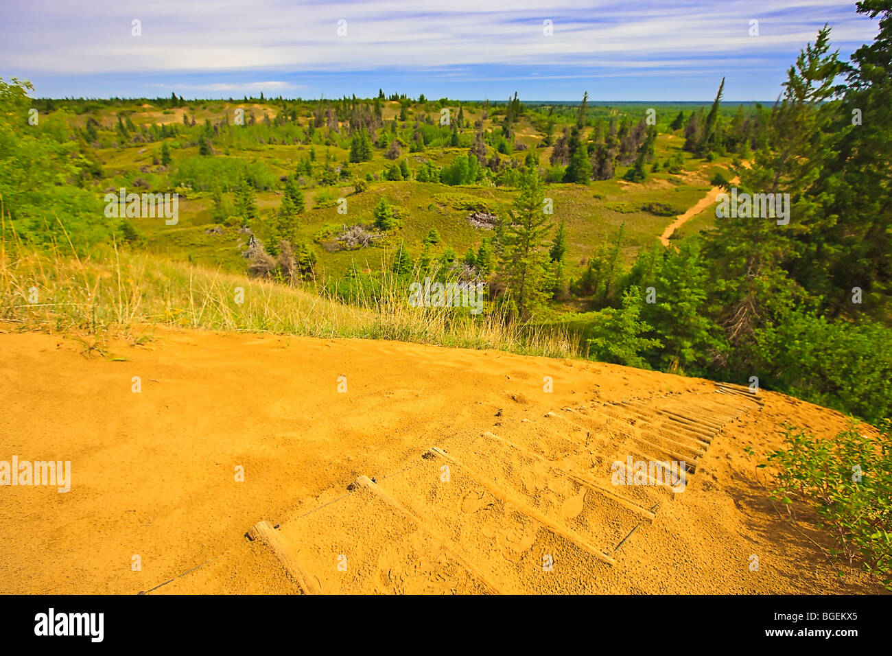 Übersicht über den Geist Sands Trail von oben auf einer Sanddüne in Fichte Woods Provincial Park, Manitoba, Kanada. Stockfoto