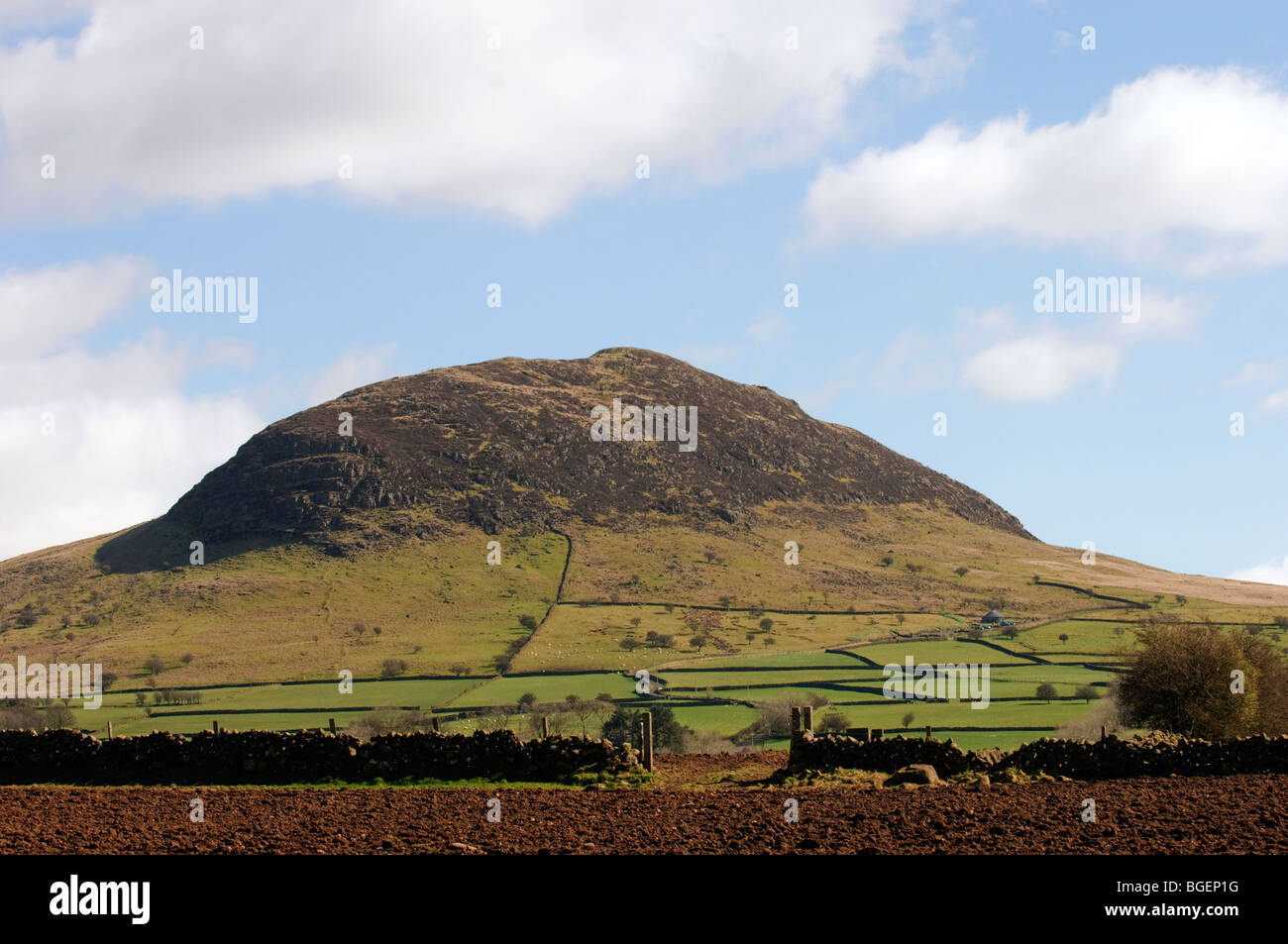 Blick auf Slemish Mountain in Co.Antrim,Northern Irland. Stockfoto